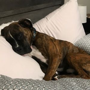 Meet your Posher, Shonna